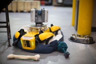 Four-legged robots